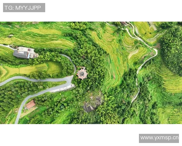 探索奥蓬达的魅力与历史深入了解这座城市的文化与风景 探索奥蓬达的魅力与历史深入了解这座城市的文化与风景