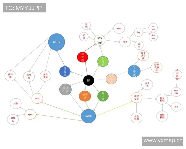 轻量级与重量级的全面对比探讨适合不同需求的选择与应用